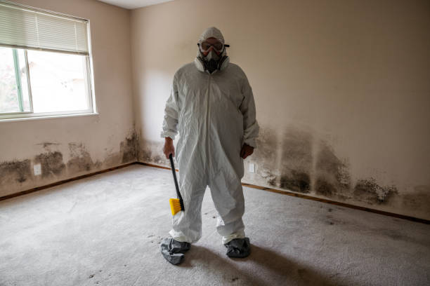 Best Mold Testing and Inspection Services in North Terre Haute, IN